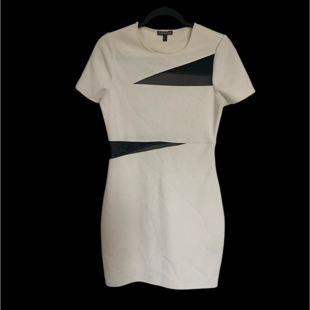 Express 90’s inspired Sheath Dress- 6